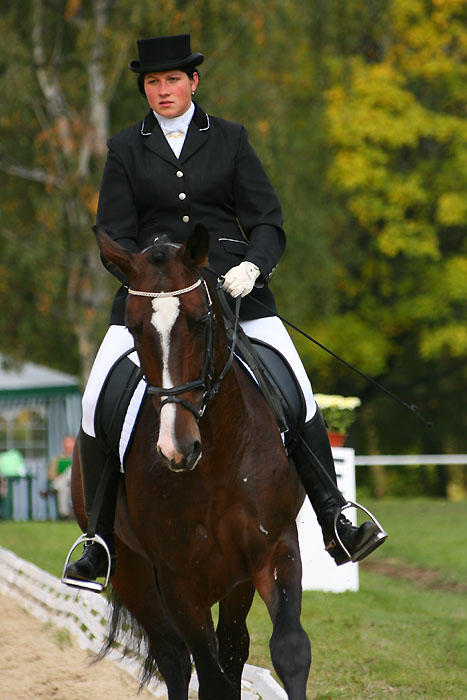 anna_wyszkowska_torino_fina_mistrzostw_polski_modych_koni_ksi_2008_1_20120103_1420222042