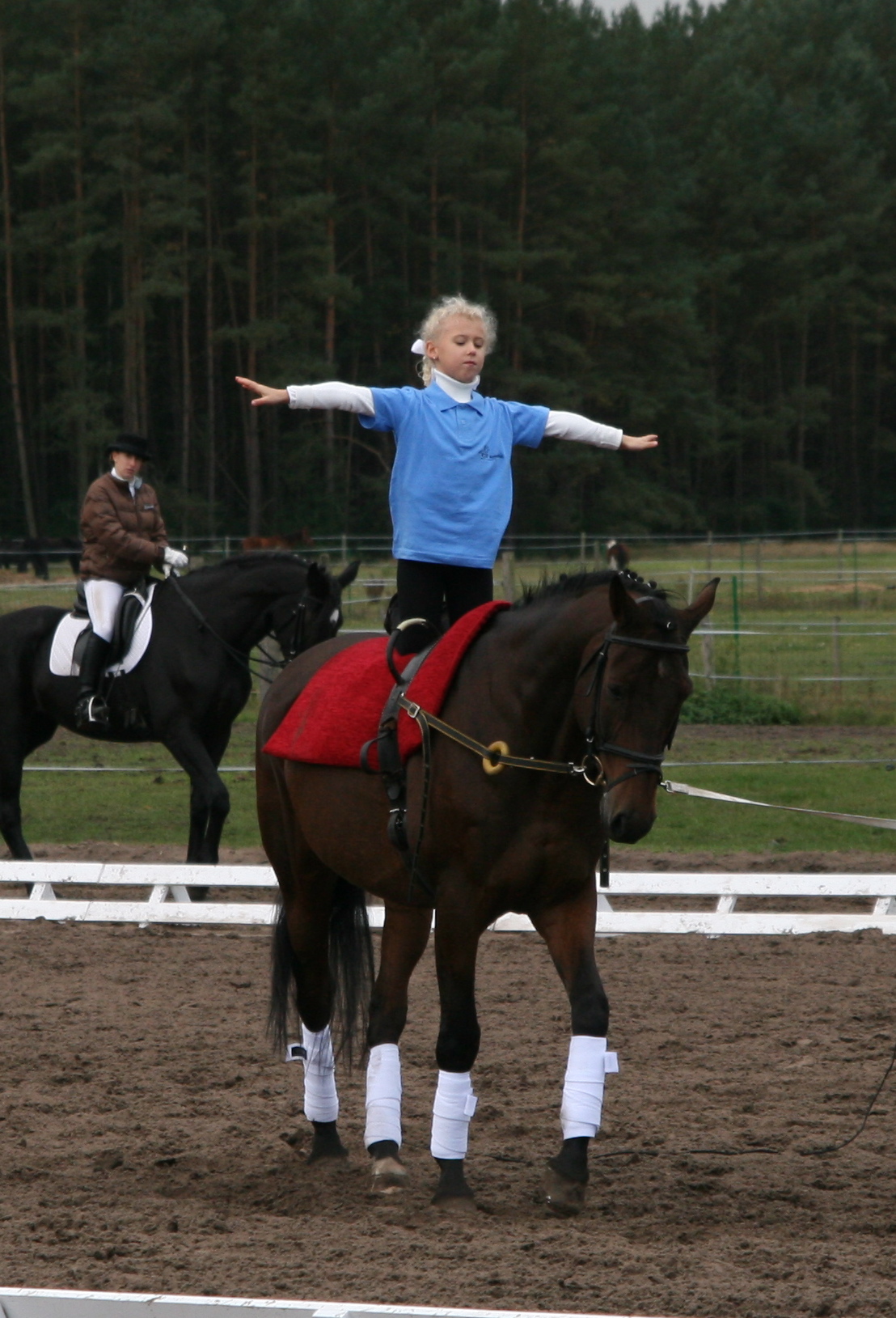 ada_trytek_wiking_brzzki_2009_1_20120103_1611589331