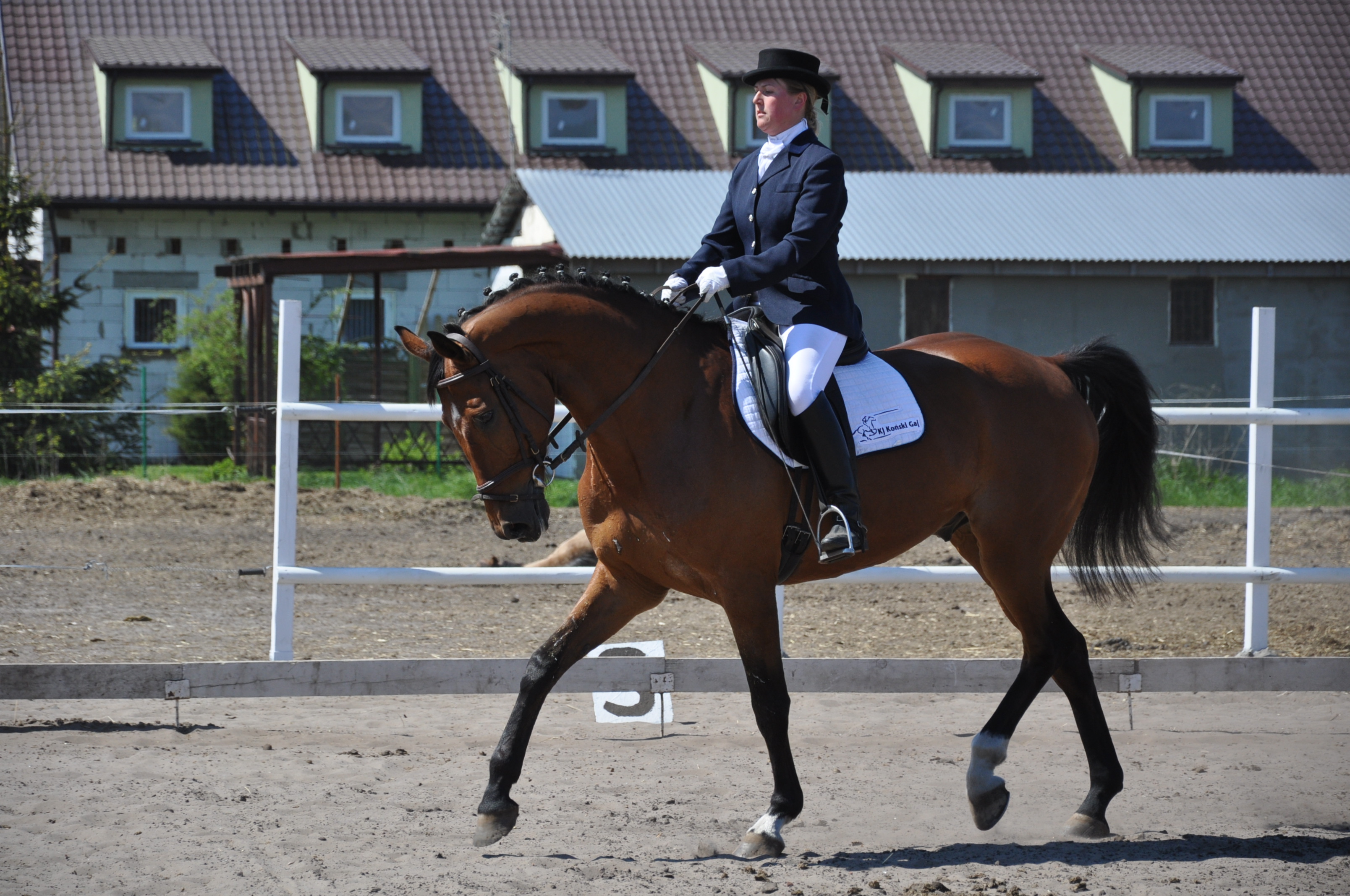 aga_baranowska_-nelson-brzzki_2011_1_20120103_1436586560