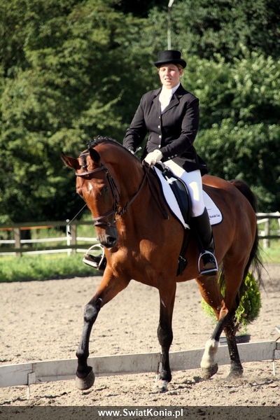 anna_wyszkowska_nelson_osw_2010_1_20120103_1655472511