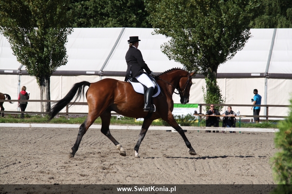 anna_wyszkowska_nelson_osw_2010_1_20120103_1959164678