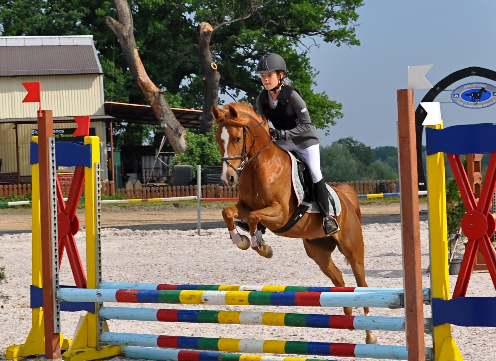 bianca_blumel-sara-jaszkowo_2011_1_20120103_1471538839
