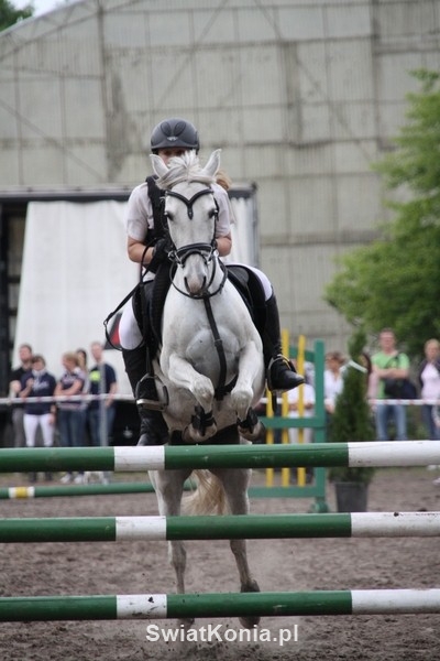 karolina_marszaek-illiada-bartoszewo_2011_1_20120103_1459729770