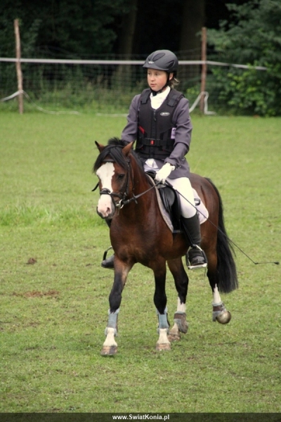 karolina_marszaek_irytek_osw_2010_1_20120103_1930192768