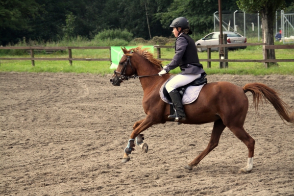 karolina_marszaek_sara_osw_2010_1_20120103_1165599621