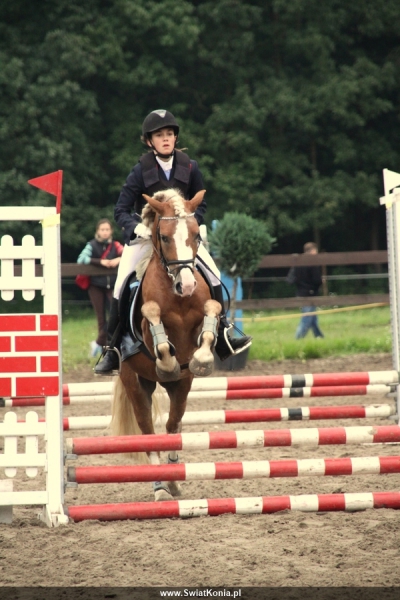 monika_franczak-indygo-_osw_2010_1_20120103_2027579114