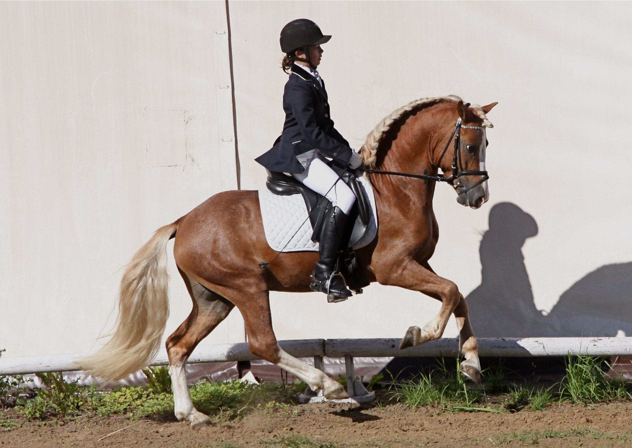 monika_franczak_i_indygo_osw_2010_1_20120103_1325282003