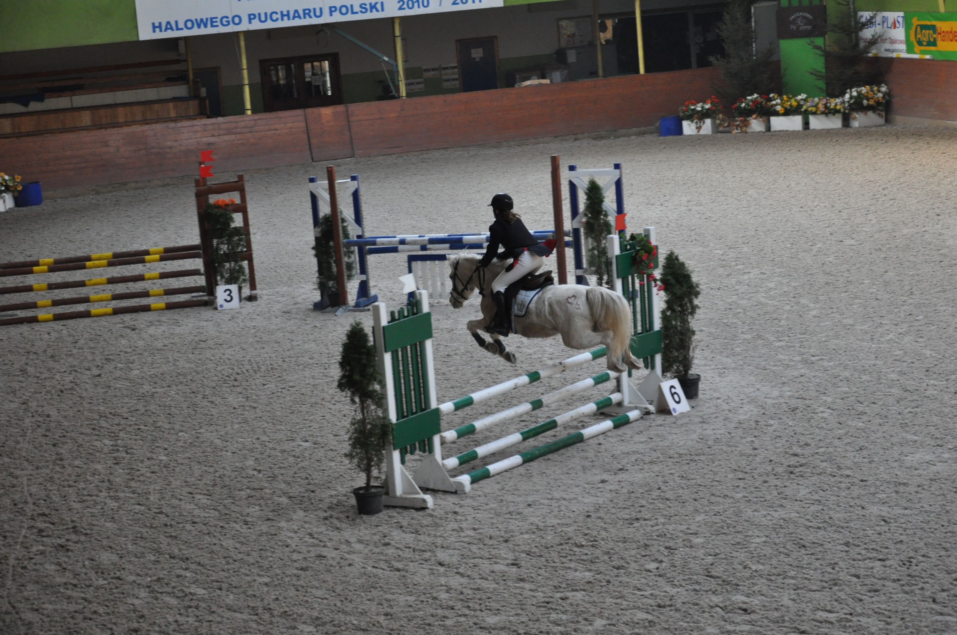 monika_franczak_idylla-_jaszkowo_2011_1_20120103_1616960906