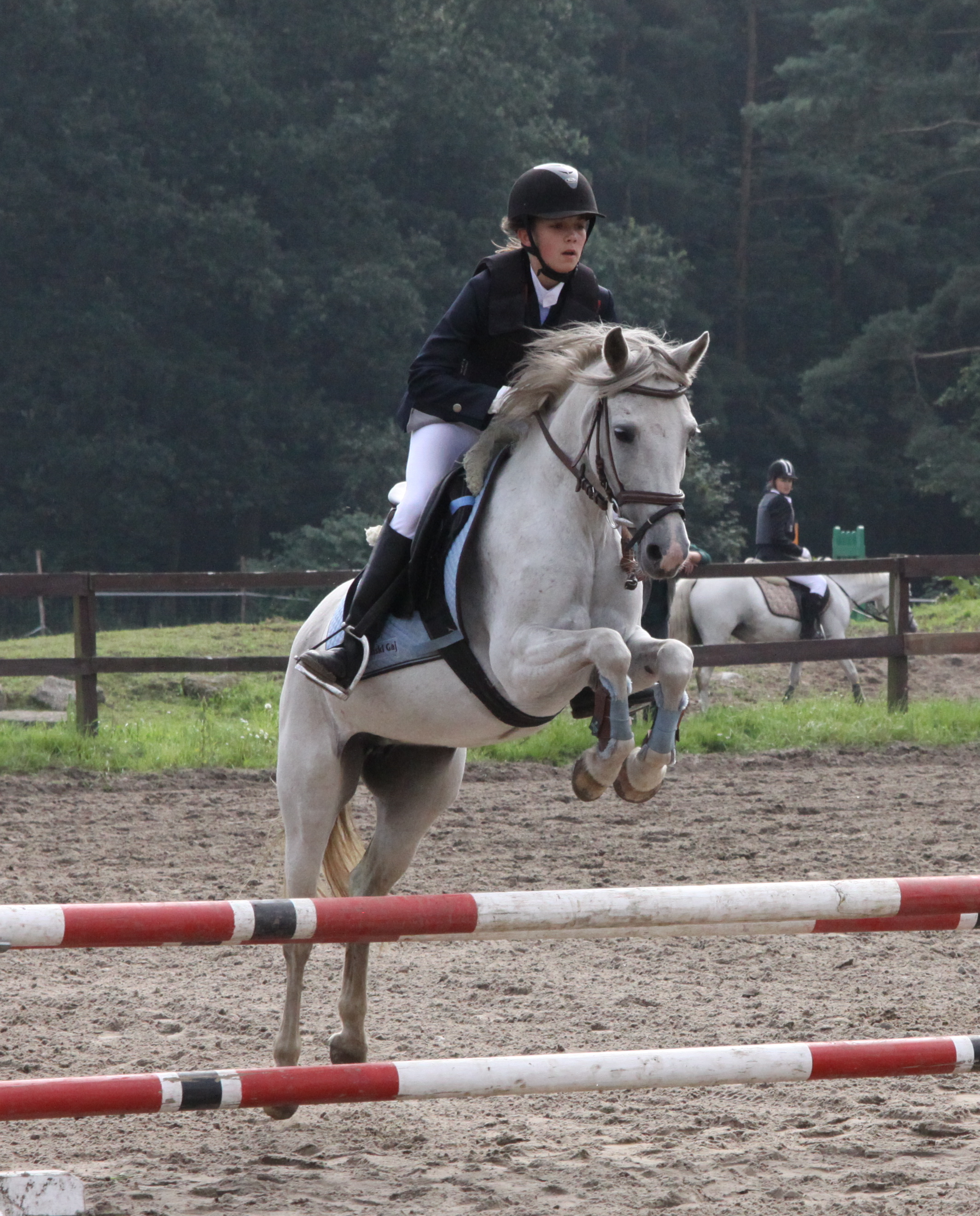 monika_franczak_iliada_osw_2010_1_20120103_1613475969